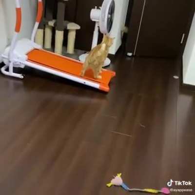 Рота подъëм!