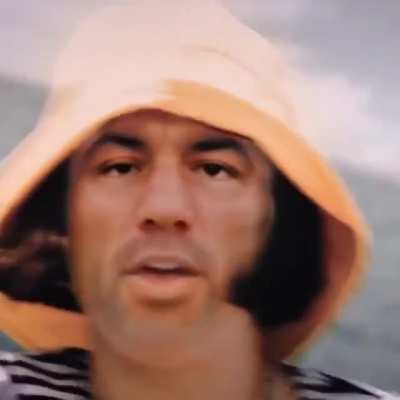 Lets gets some banned Joe Rogan memes going!