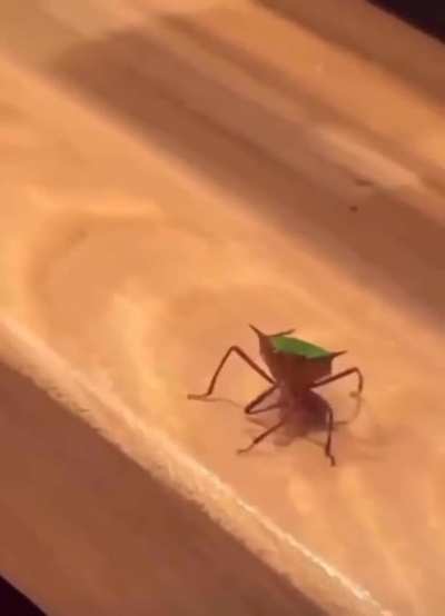 well, hello!