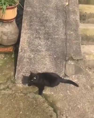 Weeee!!