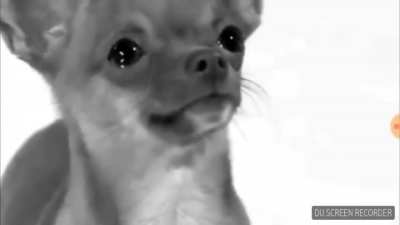 Eu no vácuo por 5 horas ° No status dela ( AFF ninguém pra conversar) ° Eu: