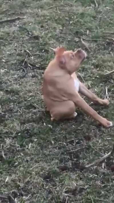 Videos random que encuentro por hay