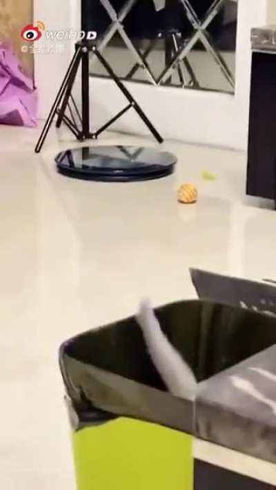 Smooth