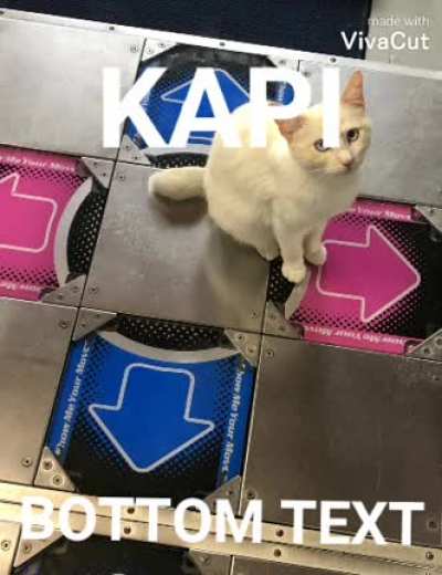 Kapi be like: