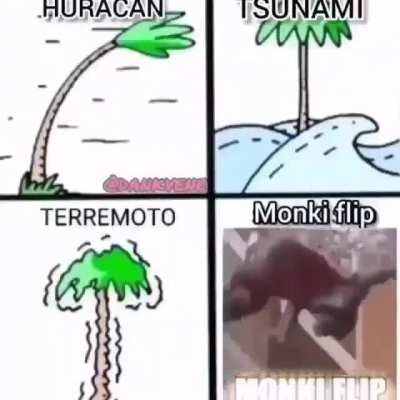 Monki Flip
