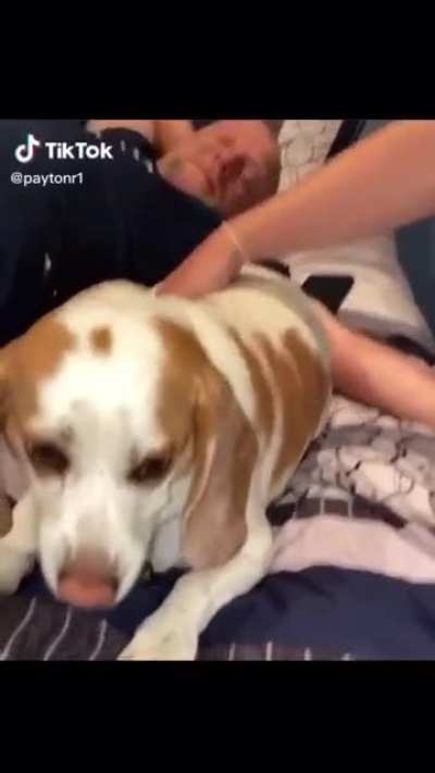 Lucky was not a fan