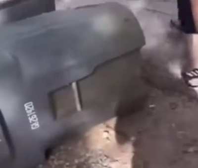 trash bin hater, the self-destroying lady