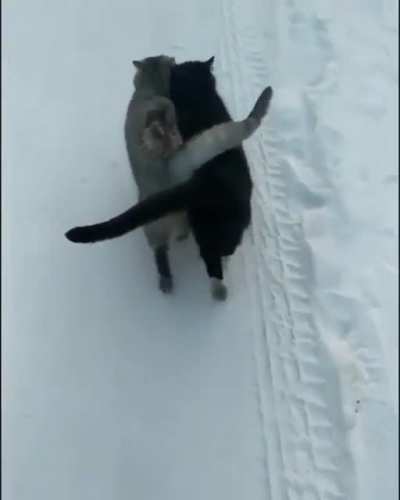 True love