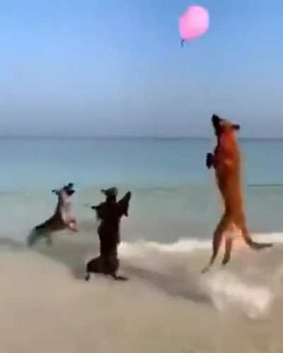 Actual footage of me and my friends playing in plat lobby