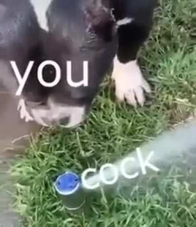 Just a reminder