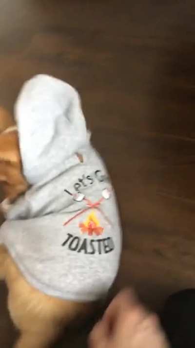 Let’s get toasted