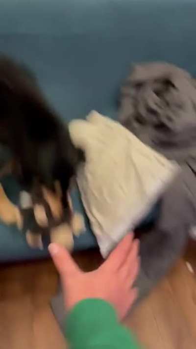 wait for it