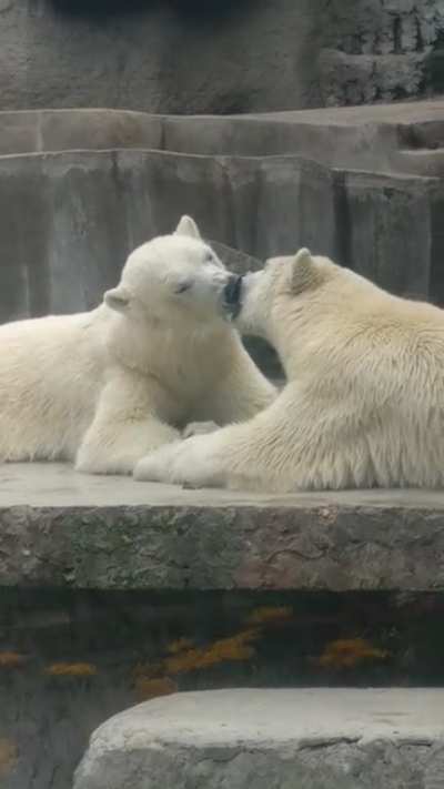 French kissing