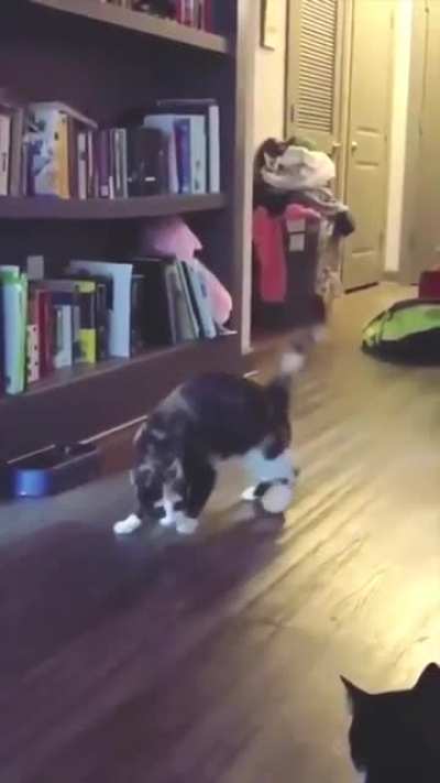 Can you dance like me?