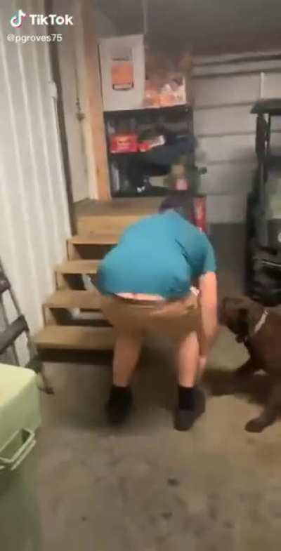 To jump on table