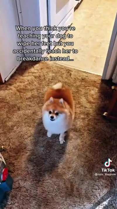Breakdancing Pom