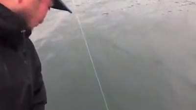 The catch of a lifetime . Best catch ever .