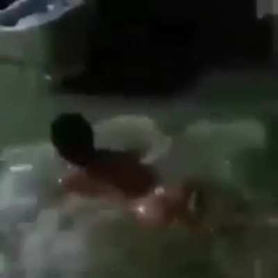 Rare Specie of Shark Spotted in Mindanao 