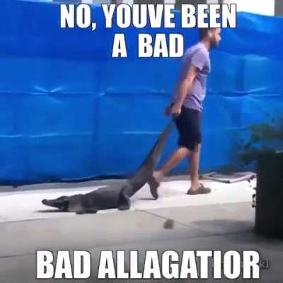 Bad >:(