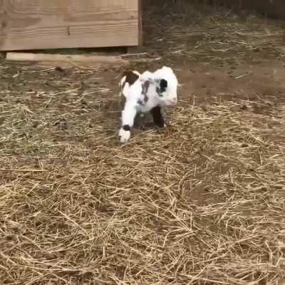 I have no idea what is he trying to do