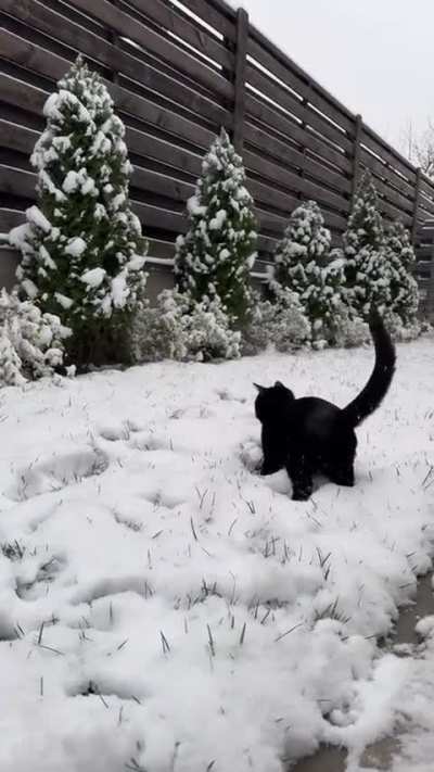 Snow time fun time