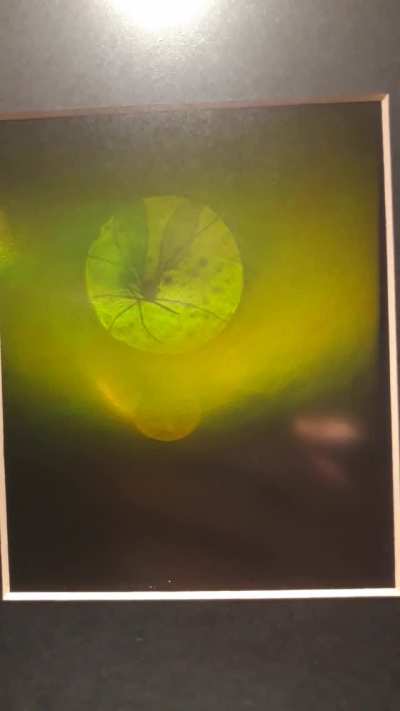A holographic microscope that you can actually look into