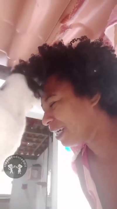 Cortar as bolas ele não quer