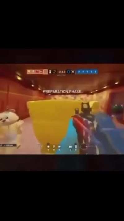 Mr Bear