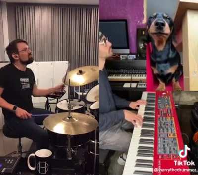 This dog has soul