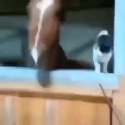 Horseeeee