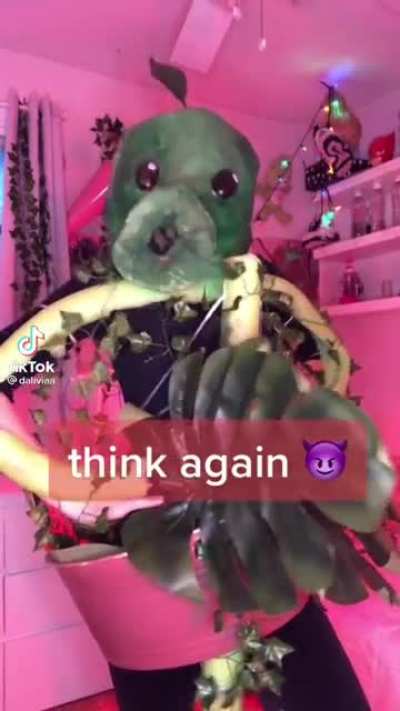 🌱