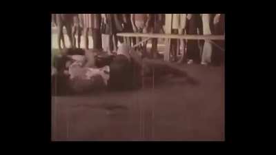 sexy cat fight from an old movie