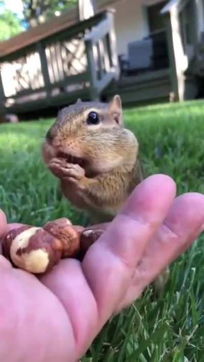 The cheeks 🥰 Take it easy little buddy