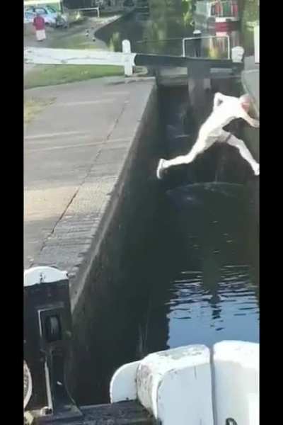Trying to jump over a canal, with 30% commitment