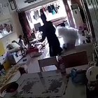 Made the poor dog jump