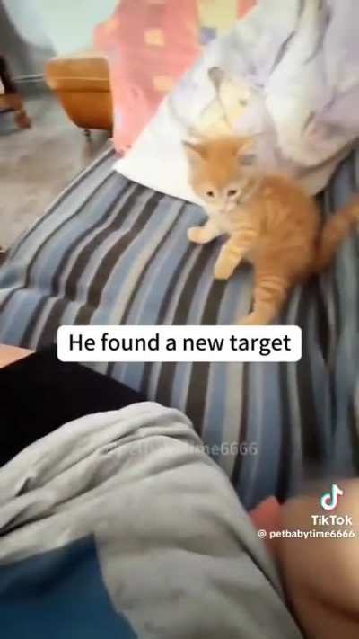 Enemy spotted