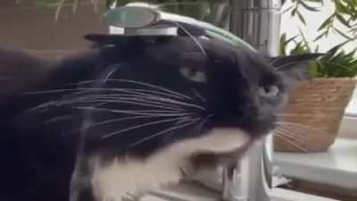 Wunki