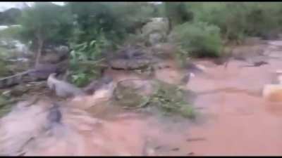 Man calmly steers his boat through crocodile-infested waters.