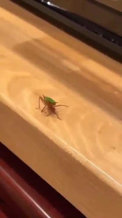 👋👋