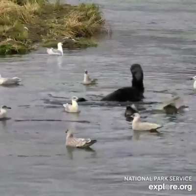 Bottoms up!