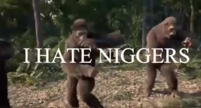 I’ll just leave this here
