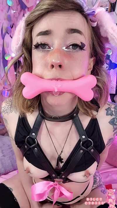 Breed this lil pup?