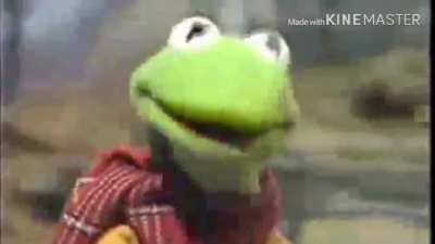 Kermit dies