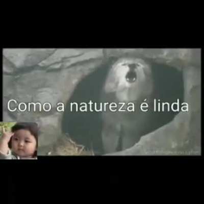 É tão linda