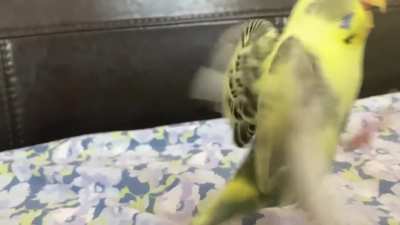 He attak