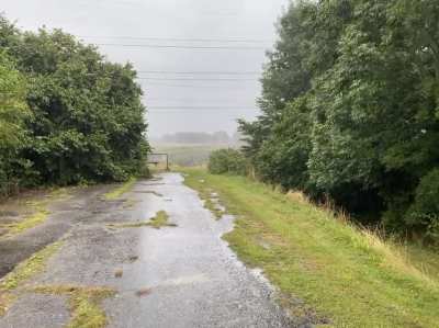 I stayed out and enjoyed the rain for a bit longer than I should have