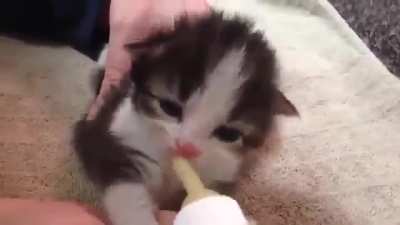 Nom Nom Nom 🥰