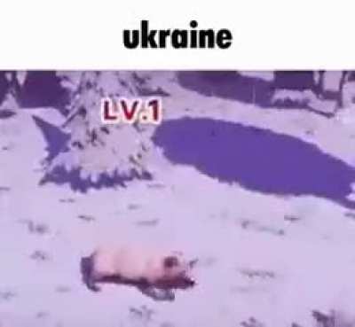 ukraine