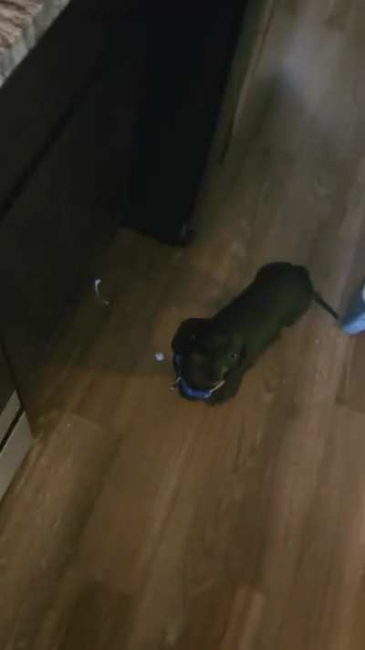 Dropped A Sausage.