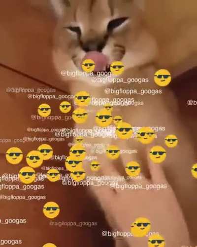 My first arabfunny